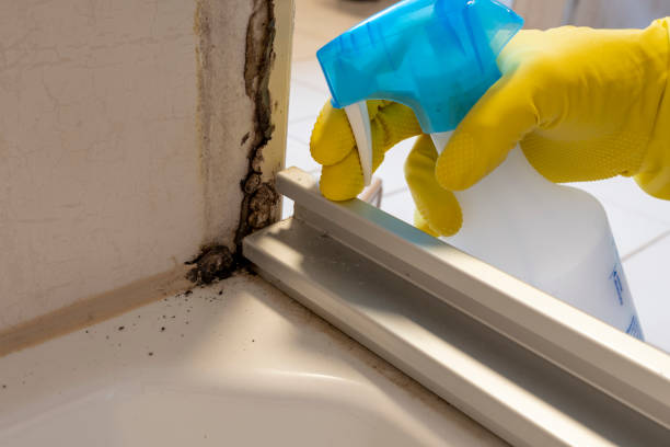 Best Professional Mold Removal  in Dallas, GA
