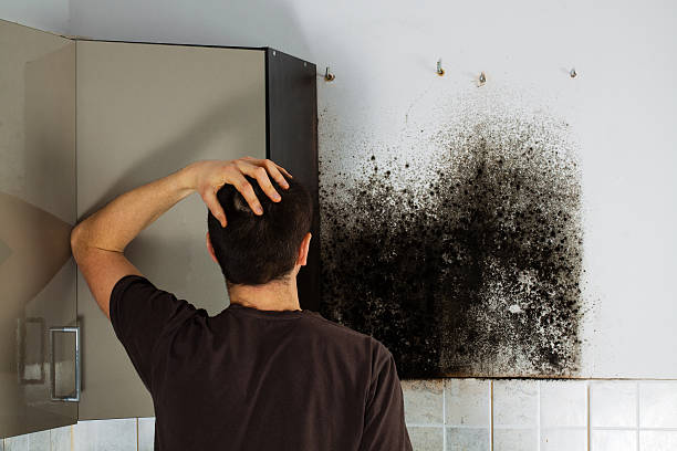 Best Emergency Mold Removal  in Dallas, GA